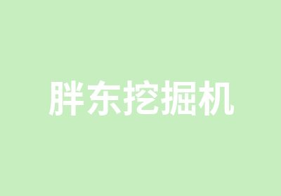 胖东挖掘机