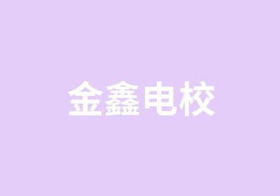 金鑫电校