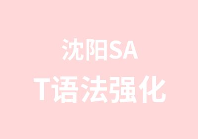 沈阳SAT语法强化