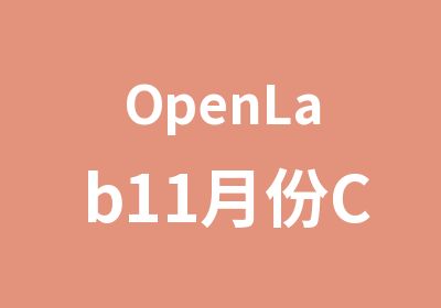 OpenLab11月份CCVP课程