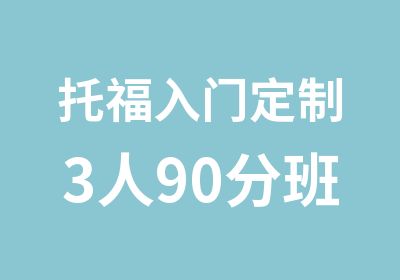 托福入门定制3人90分班（A+B）