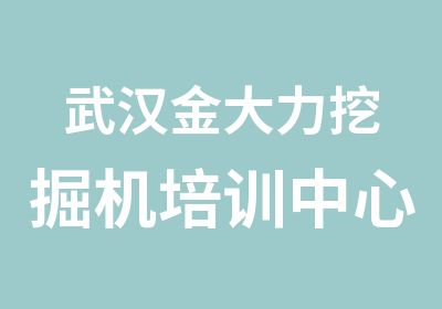 武汉金大力挖掘机培训培训中心