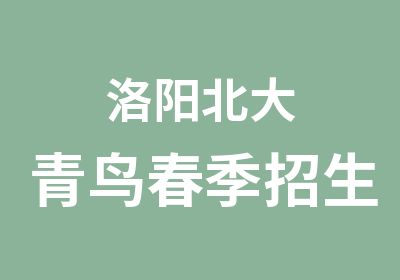 洛阳北大青鸟春季招生