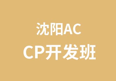 沈阳ACCP开发班