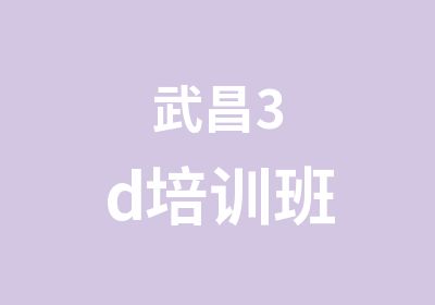 武昌3d培训班
