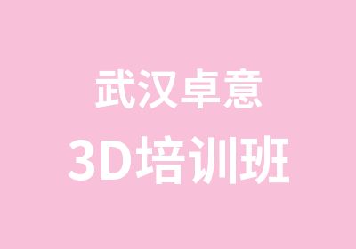 武汉卓意3D培训班