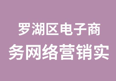 罗湖区电子商务网络营销实操培训班