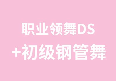 职业领舞DS+初级钢管舞入门班