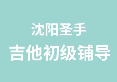 沈阳圣手吉他初级铺导