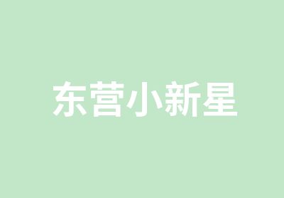 东营小新星