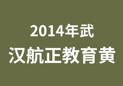 2014年武汉航正教育黄金投资分析师火热