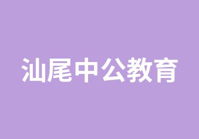 汕尾中公教育