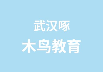 武汉啄木鸟教育