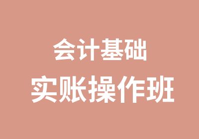 会计基础实账操作班