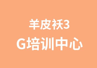 羊皮袄3G培训中心