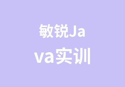 敏锐Java实训