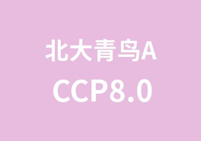 北大青鸟ACCP8.0