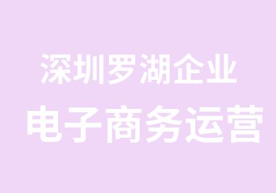 深圳罗湖企业电子商务运营师培训