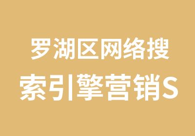 罗湖区网络搜索引擎营销SEO研修培训班