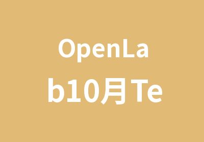 OpenLab10月Teradata课程