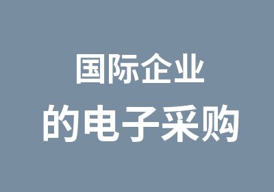 国际企业的电子采购