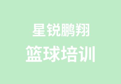 星锐鹏翔篮球培训