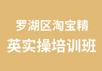 罗湖区精英实操培训班