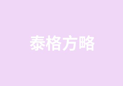 泰格方略