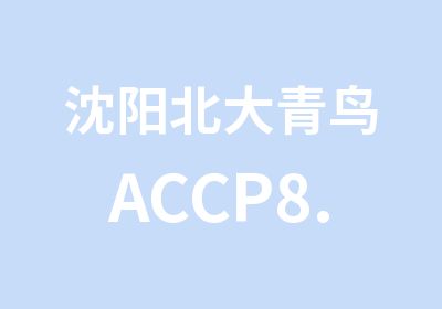 沈阳北大青鸟ACCP8.0