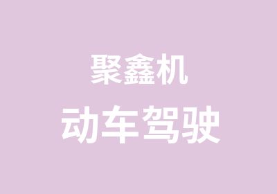 聚鑫机动车驾驶