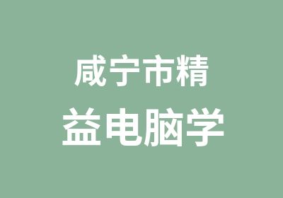 咸宁市精益电脑学