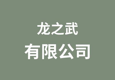 龙之武有限公司