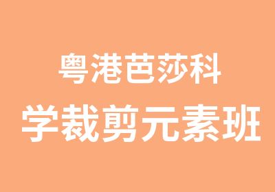 粤港芭莎科学裁剪元素班