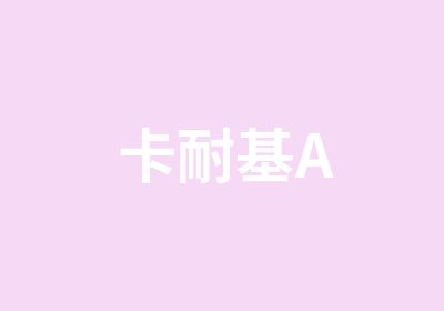 卡耐基A