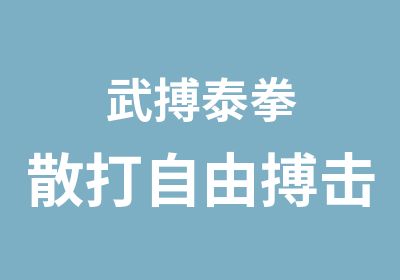 武搏泰拳散打自由搏击