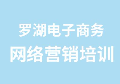 罗湖电子商务网络营销培训班