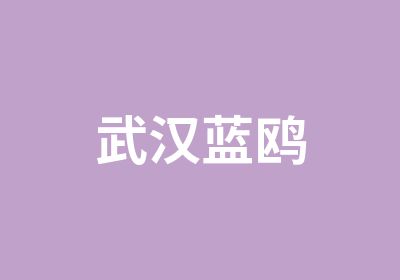 武汉蓝鸥培训培训中心