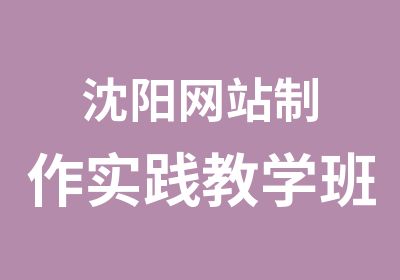 沈阳网站制作实践教学班