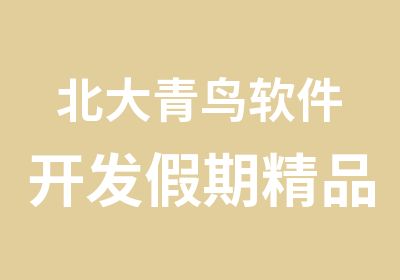 北大青鸟软件开发假期精品班