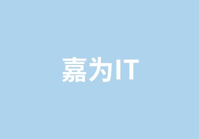 嘉为IT