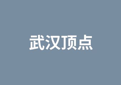 武汉顶点