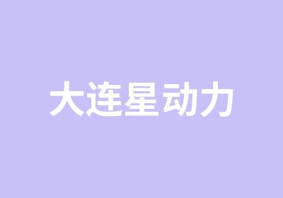 大连星动力