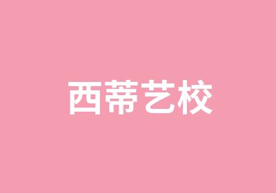 西蒂艺校