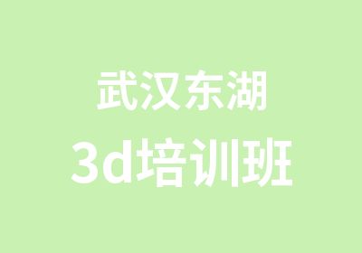 武汉东湖3d培训班