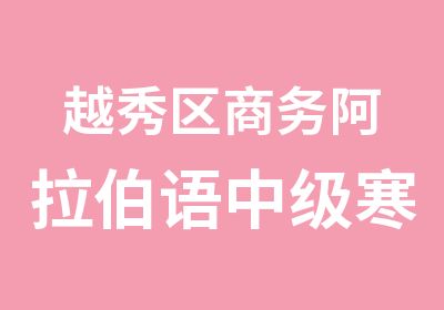 越秀区商务阿拉伯语中级寒假班