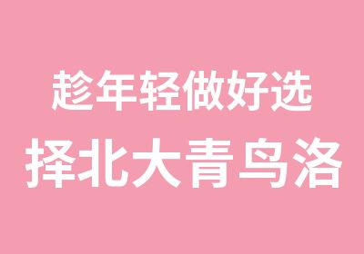 趁年轻做好选择北大青鸟洛阳融科给你好建