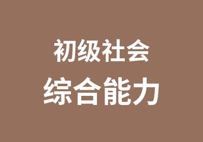 初级社会综合能力