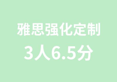 雅思强化定制3人6.5分班（C）