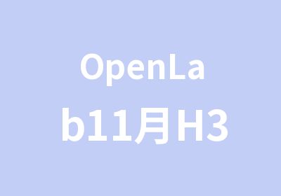 OpenLab11月H3CSE课程