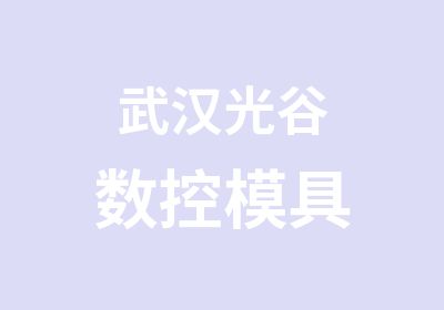 武汉光谷数控模具